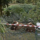 ABD0150-20220818.jpg