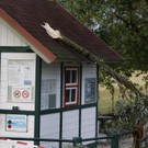 ABD0151-20220818.jpg