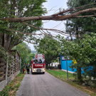 ABD0159-20220818.jpg