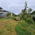 ABD0165-20220818.jpg