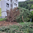 ABD0168-20220818.jpg