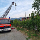 ABD0169-20220818.jpg