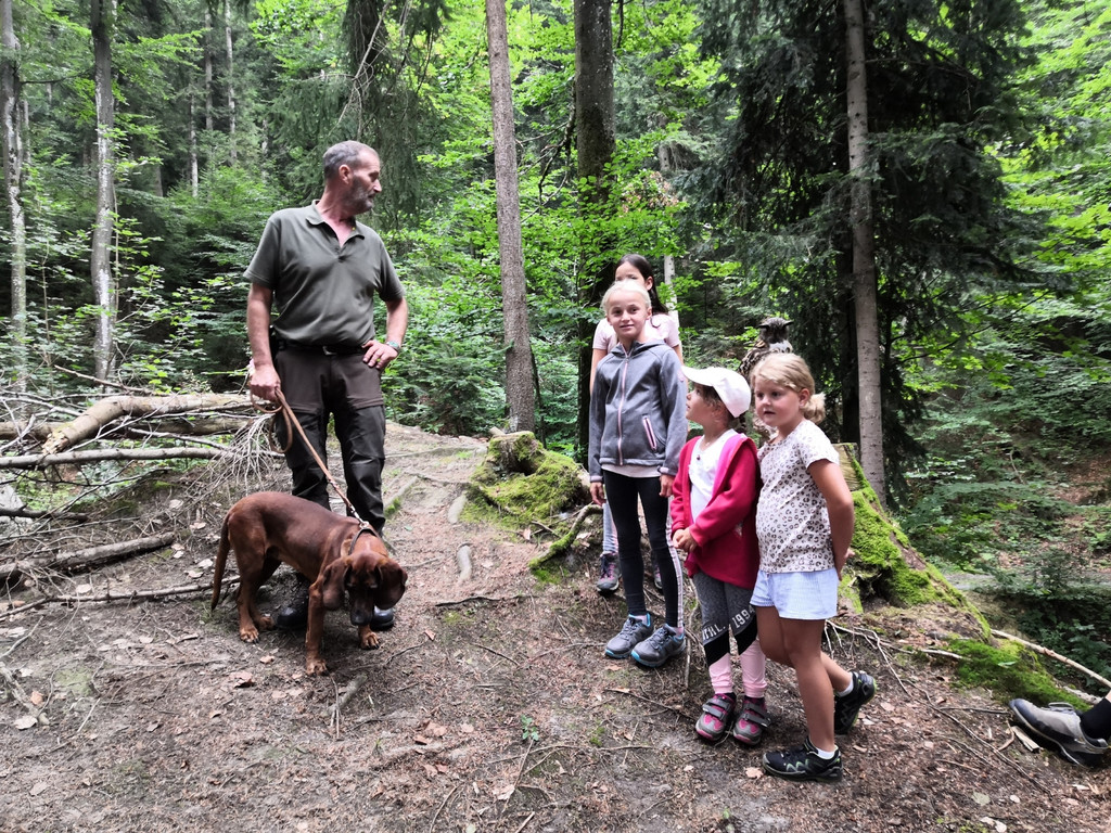 Waldbegehung 6.jpg