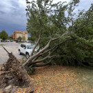 Unwetter: Baum fiel auf Hausdach