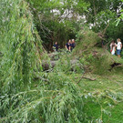 20220818_180518.jpg