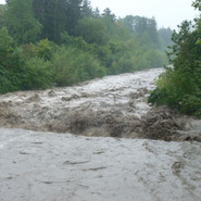 P1080371 _1024x684_.jpg