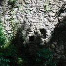 DSCI7880.JPG