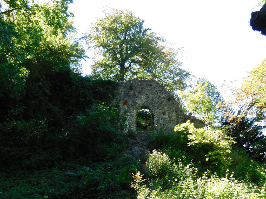 DSCI7881.JPG