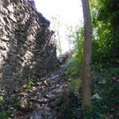 DSCI7882.JPG