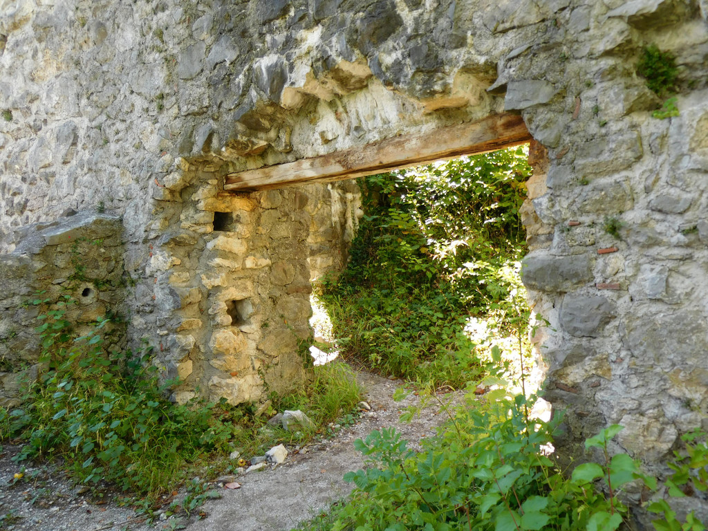 DSCI7884.JPG