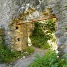 DSCI7884.JPG