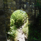 DSCI7885.JPG
