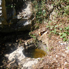 DSCI7891.JPG