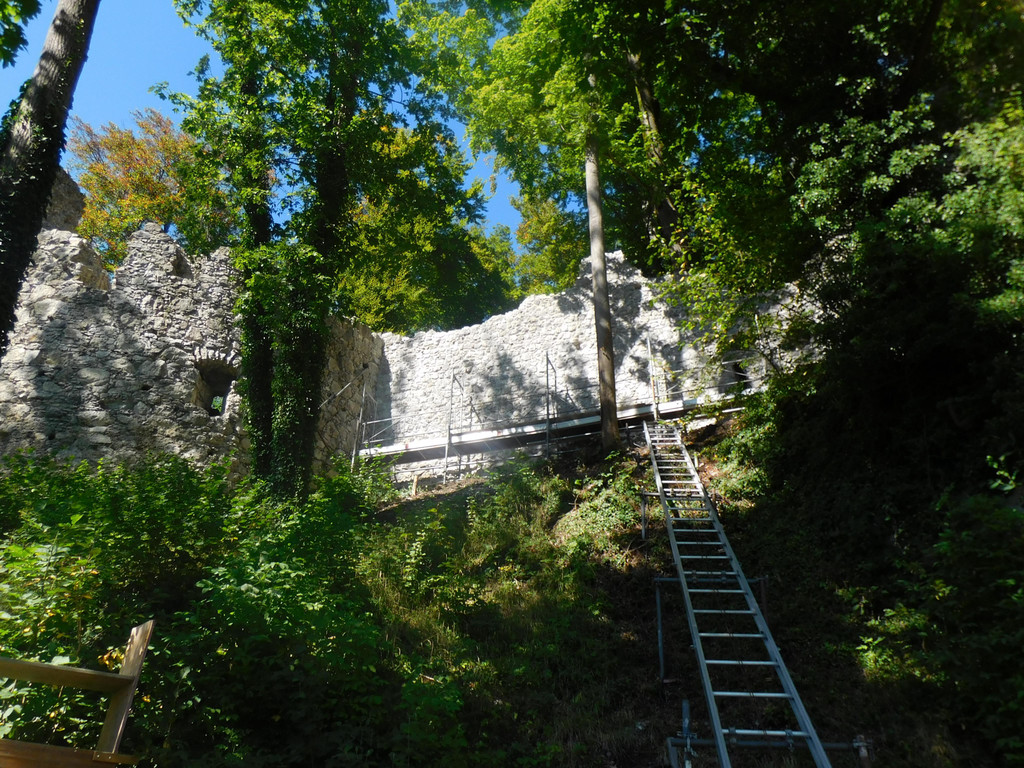 DSCI7892.JPG