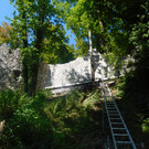 DSCI7892.JPG