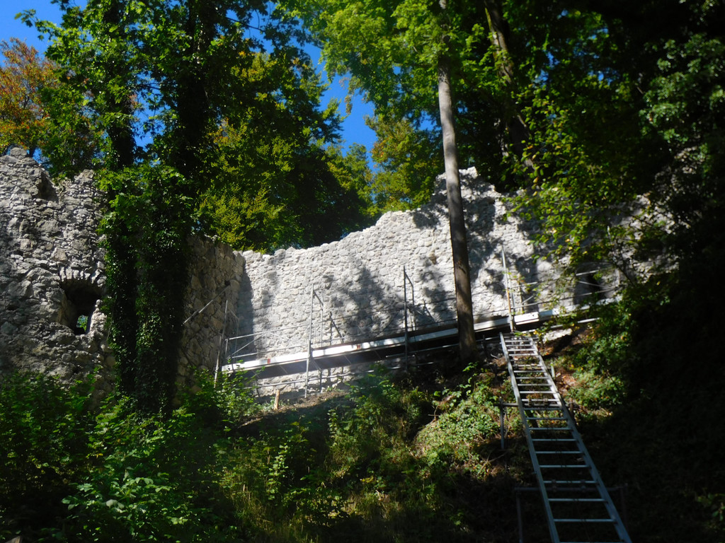 DSCI7893.JPG