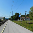 DSCI7896.JPG