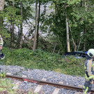 image 0010.jpeg