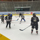 bulldgoscamp3.jpg