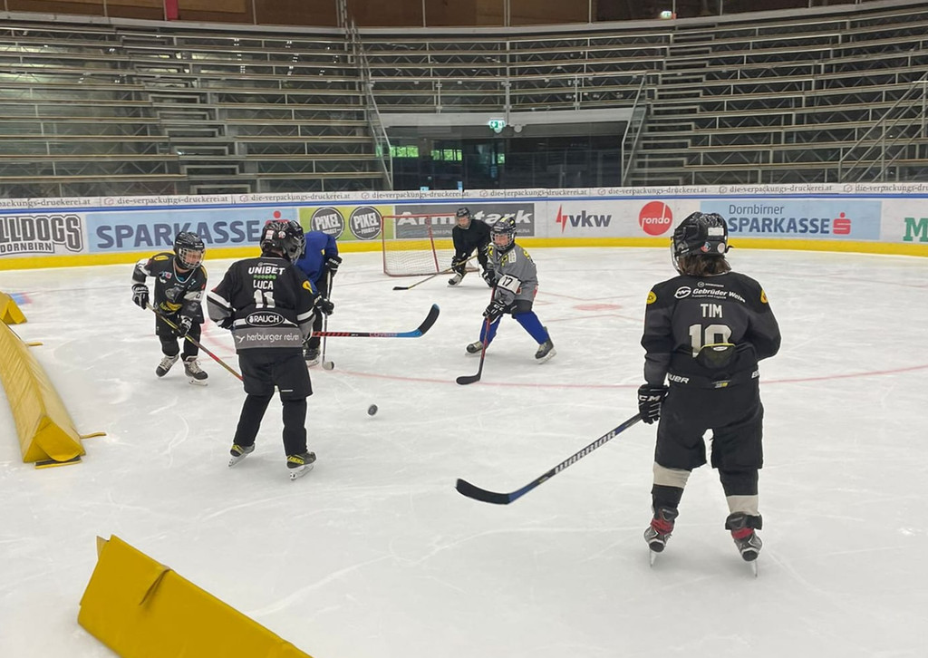 bulldgoscamp3.jpg