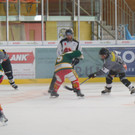 DSCI7929.JPG