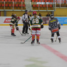 DSCI7930.JPG