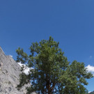 20220809_132727.jpg