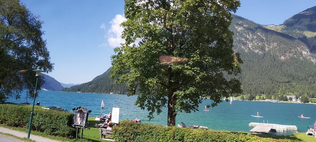 20220809_160915.jpg