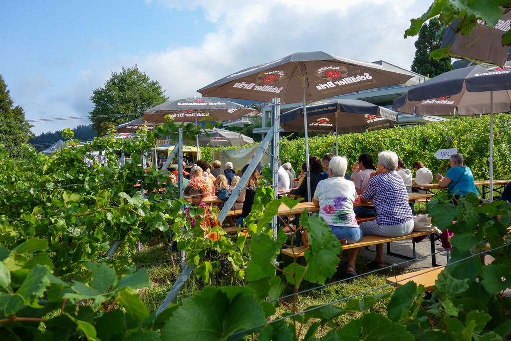 20220828_1_ Lochauer Weinfest-9.jpg