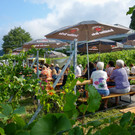 20220828_1_ Lochauer Weinfest-9.jpg