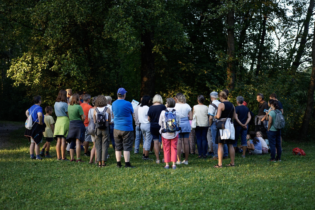 6-_DSC6873.jpg