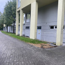 image 0011.jpeg