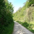 Feuerstein15.jpg