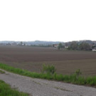 Feuerstein12.jpg