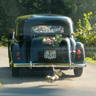 Hochzeitsauto n.jpg