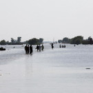 2022-09-01T180146Z_310221538_RC2R7W9AXCQ1_RTRMADP_3_PAKISTAN-WEATHER-FLOODS.JPG