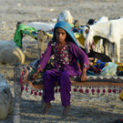 AFP_32HH6WD.jpg