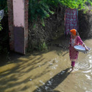AFP_32HH748.jpg