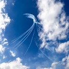 ABD0118-20220902.jpg