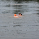 DSC_2033.jpg
