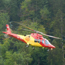 DSCI8110.JPG