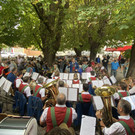 IMG_7906.jpeg