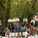 IMG_7908.jpeg