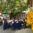 IMG_7933.jpeg