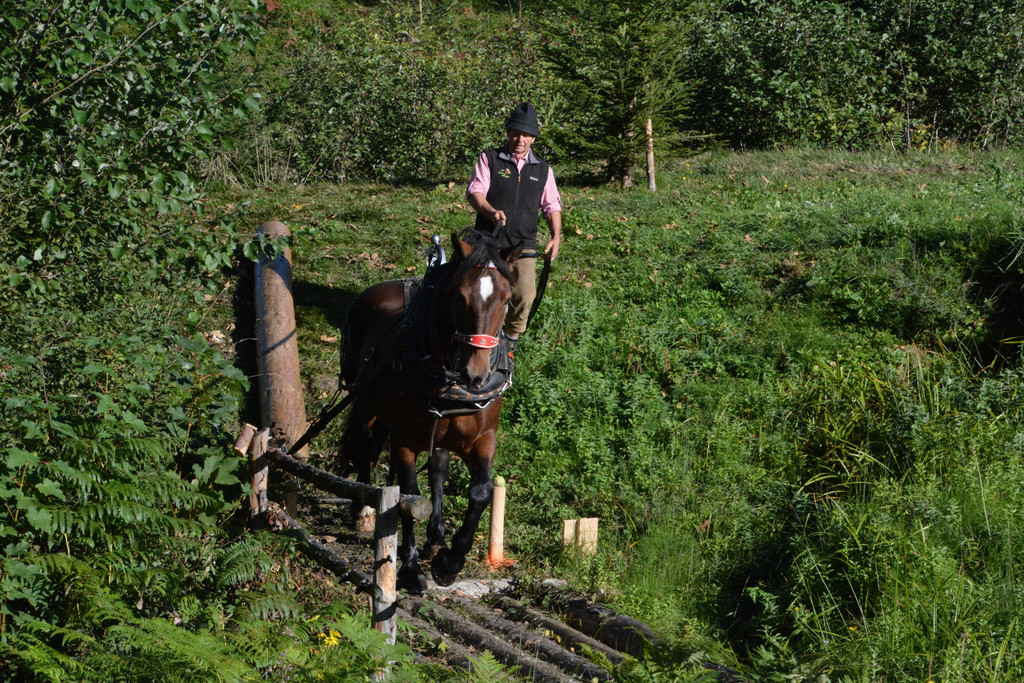 DSC_1577.JPG