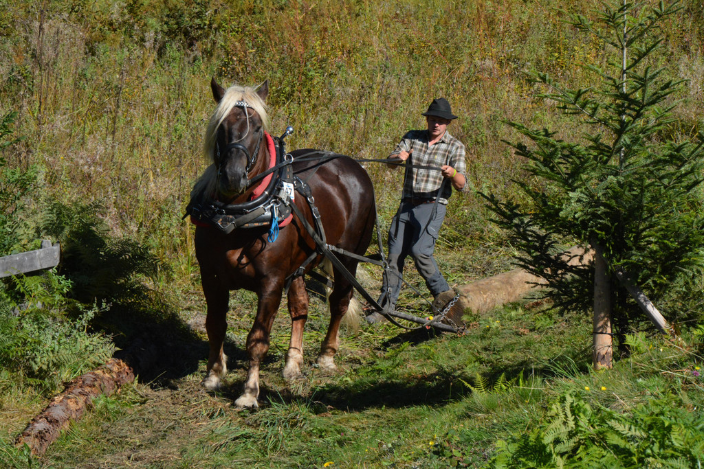 DSC_1743.JPG