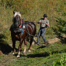 DSC_1743.JPG