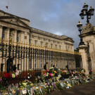AFP_32HZ642.jpg
