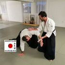 Aikido-Training