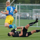DSC01252aa.jpg